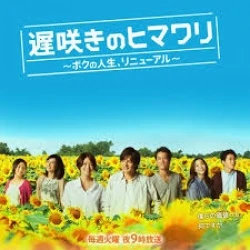 Osozaki no Himawari